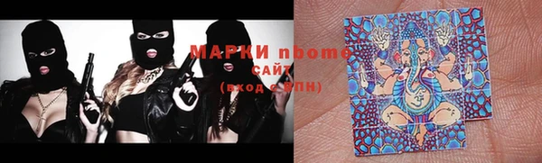 трава Бородино
