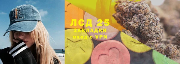 трава Бородино
