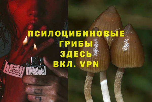трава Бородино