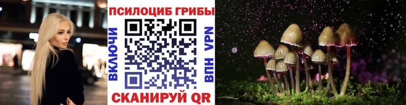omg tor  Симферополь  Галлюциногенные грибы Psilocybine cubensis 