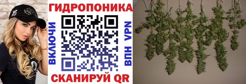 Каннабис AK-47  блэк спрут как войти  мориарти официальный сайт  Симферополь 